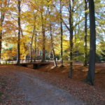 Auf dem Ohlsdorfer Friedhof