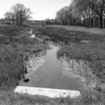 Biotope in Godshorn