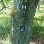 Markierung des Heidschnuckenwegs